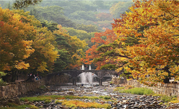 Hình ảnh Gyeongsang Hàn Quốc
